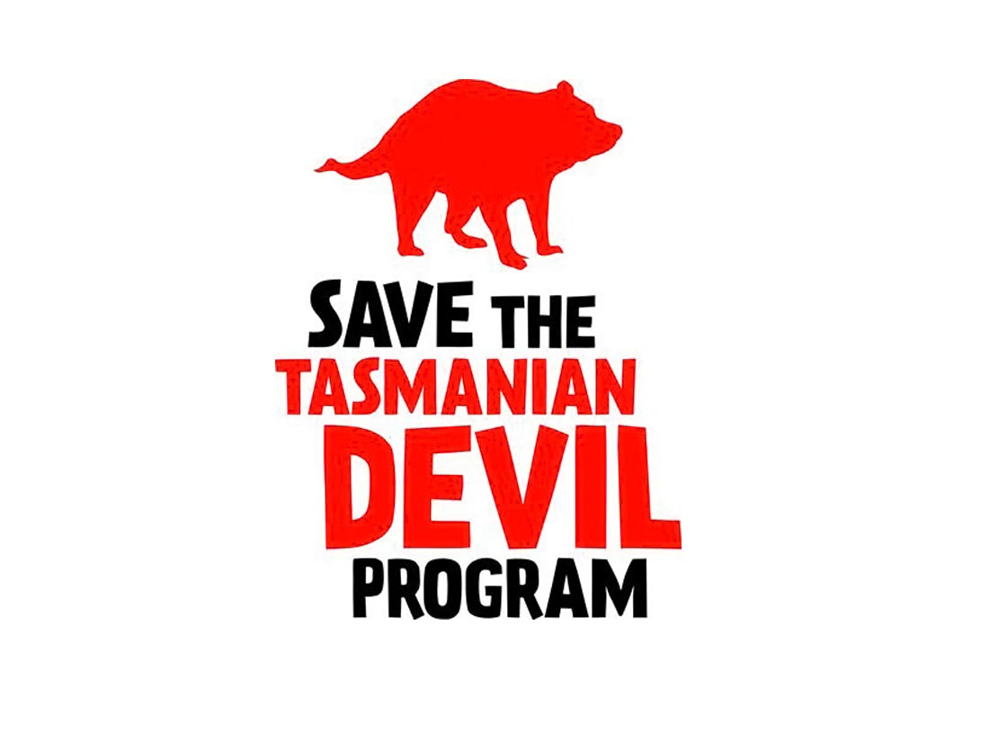 save-the-devil-logo